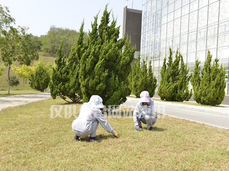 大連園林綠化,園林綠化施工,園林綠化工程,地產(chǎn)綠化工程,園林景觀設(shè)計,景觀設(shè)計,景觀設(shè)計施工,園林綠化,綠化工程,綠化養(yǎng)護,綠化項目,慧昌園林,地產(chǎn)工程施工,地產(chǎn)工程綠化,地產(chǎn)工程,園林養(yǎng)護,大連綠化,苗木培育,苗木養(yǎng)護